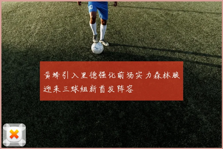 黄蜂引入里德强化前场实力森林狼迎来三球组新首发阵容