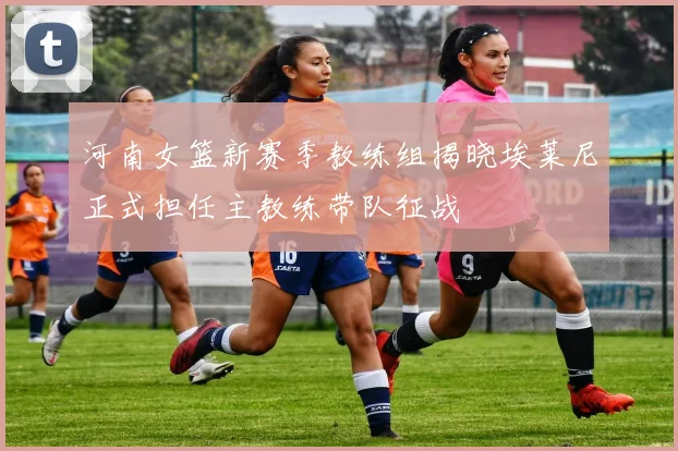 河南女篮新赛季教练组揭晓埃莱尼正式担任主教练带队征战